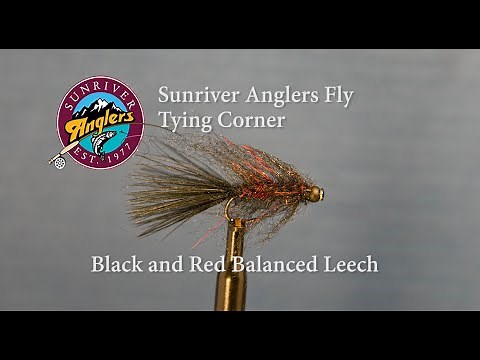 Black and Red Balanced Leech