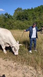 Entre Nesquick et Stéphane Plaza, c'est une grande histoire d'amour ! 🥰🐮 🎥 instagram / stephaneplaza.off | Télé 7 Jours