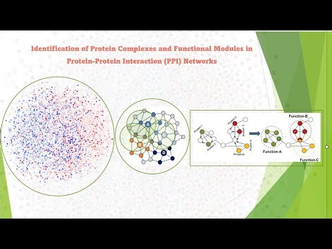 Protein Complexes and Functional Modules in PPI Network | MCODE | LE | MTGO | DIAMOnD |