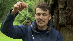 BBC - How to make a bird feeder