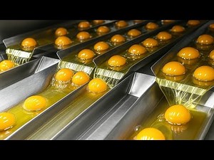 Amazing Machines Operating At An Insane Level