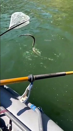Water Snake Escape Trick 😱💧#snake #viral #shorts #survival