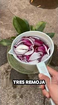 Cómo Eliminar Plagas, Hongos y Hojas Amarillas de Forma Natural