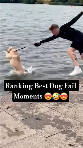 Ranking Best Dog Fail Moments 😂#youtubeshorts #trending #ytshorts