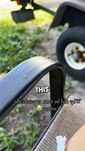 Bailando con un Bicho Microscopico