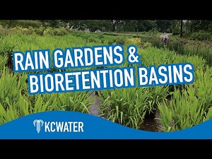 Rain Garden and Bioretention 101 | KC Water
