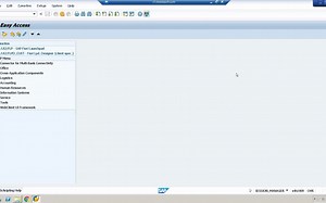 SAP Scripting Easiest way to Automate your steps SAP S4 HANA