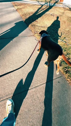 #niceday
