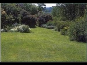 Savoir jardiner : Pelouses & Gazons - Tous les secrets pour un bon entretien