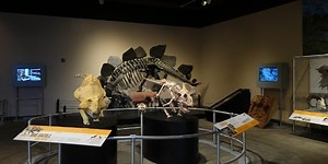 Virginia Museum of Natural History welcomes modern-day Dinosaur Discoveries exhibit