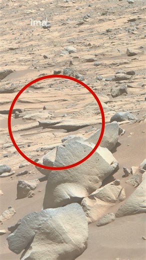 NASA's Craziest Mars Shot This Week | Mars In 4k | Mars #shorts
