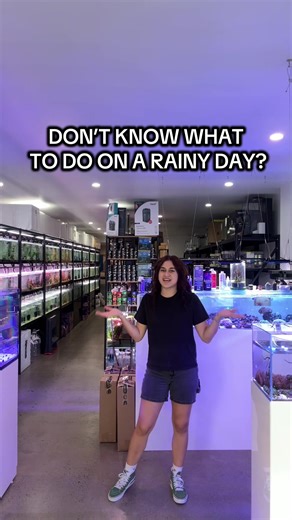 Don’t know what to do on a rainy day, come visit Bennys Aquarium. We have a wide variety of freshwater fish and plants as well as Marine fish and corals. We also have driftwood, rocks, glue and much more to meet your scaping needs Come by and say Hi 👋 #rainyday #aquarium #freshwater #saltwater #fyp