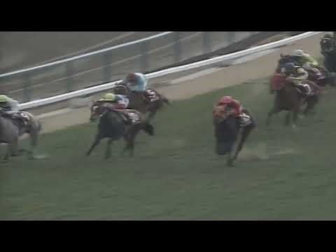 1995年 報知杯４歳牝馬特別 ライデンリーダー
