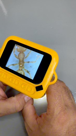 Microscopio Digital para niños y adultos #mecanicoenapuros #comofunciona #herramientas #armandogarci | Mecánico en Apuros