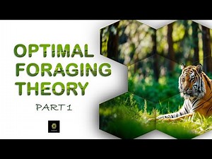 Optimal Foraging Theory : Part 1
