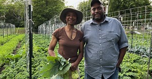 KC-based urban farm launching support program to help families through growing season