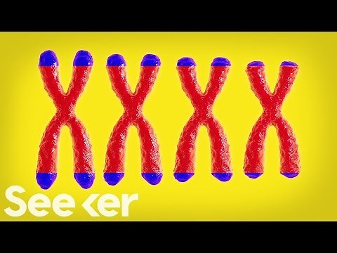 How Are Your Telomeres? They Could Be the Key to How Fast You're Aging