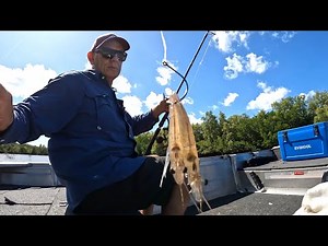 CATCH FISH the EASY WAY | Secret to Barramundi Fishing Action! | LIVE PRAWNS