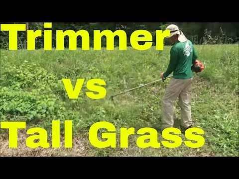 How to Cut Tall Grass with a String Trimmer aka Weedeater, Weed Wacker