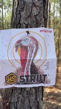 I tested the new Migra Hybrid Turkey Load on the pattern board. 🦃💥@MigraAmmunitions #fypシ゚viral