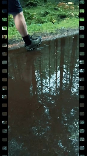 Just tried out my new Oboz Firebrand II shoes, from Cunninghams Outdoors Newton Stewart👣 — they’re super comfortable, tough, and perfect for local forest walks. Can’t wait to take them up into the Galloway Hills next! 🌲🏔️ Highly recommend as a great gift idea or a treat for yourself! #Oboz #cunninghamsoutdoors #GallowayHills #OutdoorAdventures #WalkingScotland #dabhandsblog #views1m #viralvideochallenge #facebookreel #digitalcreator #rainyweather #weather #rainyseason #WeatherUpdate #weatherf