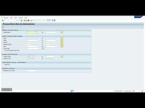 SAP Workflow project p4