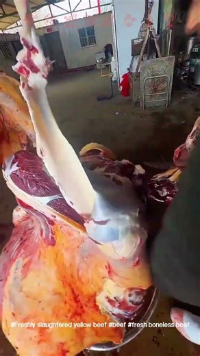 #Freshly slaughtered yellow beef #beef #fresh boneless beef #fresh beef #gourmet tutorial#62baf