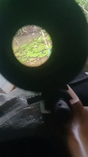 #5 How to Calibrate a Scope for Accurate Targeting