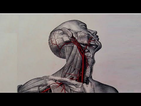 ANATOMIA OCULTA - Manly P. Hall (Audiolibro voz humana)