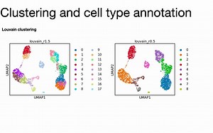 4th scanpy session - Clustering and cell type annotation