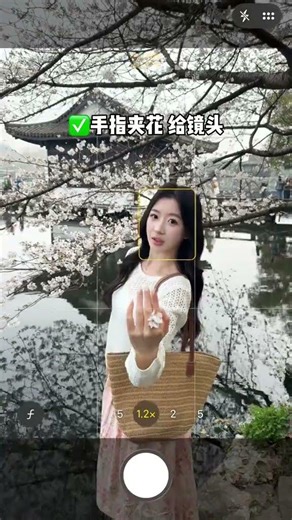 Master the Art of Flower Photography in 3 Easy Steps FlowerPhotography TravelTrends