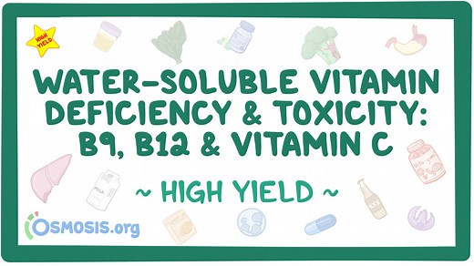 Water-soluble vitamin deficiency and toxicity: B9, B12 and vitamin C: Pathology review: Video, Causes, & Meaning | Osmosis