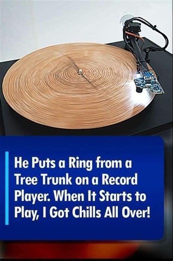 He Puts a Ring from a Tree Trunk on a Record Player. This Is the Most Extraordinary Sound of Nature I Have Ever Heard.Check out the video in the first comment👇👇 Full Video in the 1st C0MMENT | Heartland Daily