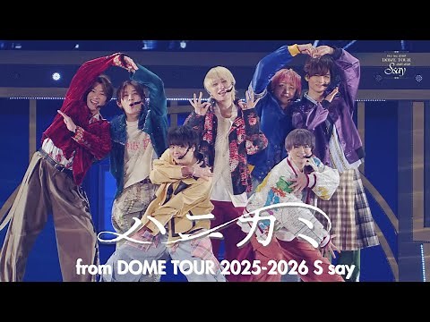 Hey! Say! JUMP (w/English Subtitles!) Hanikami [S say Official Live Video]