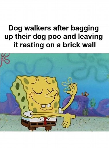 Funny RELATABLE Memes Compilation | MEMES #Shorts 158