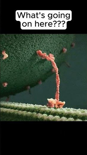 Walking Protein??? (read description for more info) #shorts #biology