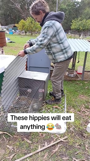 twoidiotsandafarm on TikTok