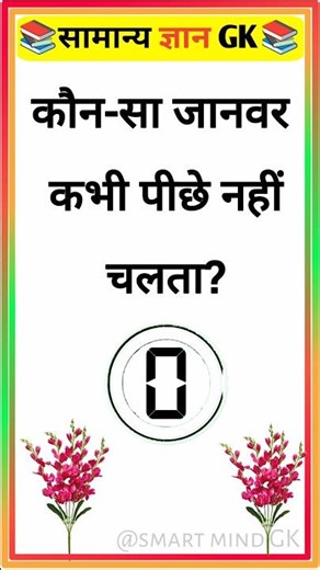 कौन-सा जानवर कभी पीछे नहीं चलता?gk quiz gk question|gk in hindigk|quiz in hindiGk#shorts