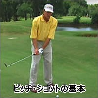 チップ & ピッチショットの基本｜レッスン動画