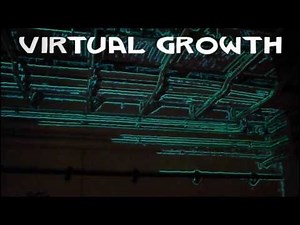 VIRTUAL GROWTH IN THE REAL WORLD (real-time projection mapping)