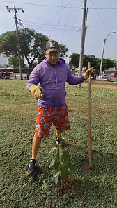 Est0s son los resultados de las locur4s por mi madr3 naturaleza #nature #naturaleza #love #arboles | El Davis