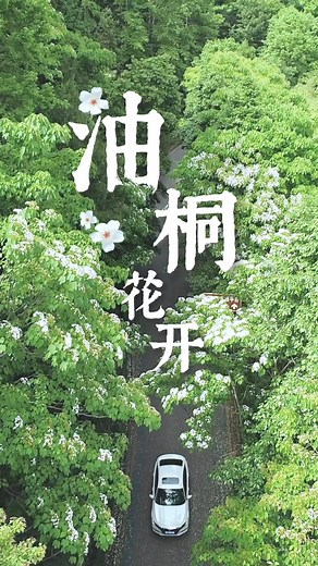 Take 30 seconds to truly appreciate this beautiful spring scenery. Let the colors and serenity refresh your soul.  #SpringBeauty #NatureLovers #MomentOfZen | In Zhejiang | Facebook