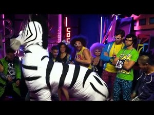 Dope Zebra: The Full Story