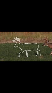 72K views · 530 reactions | You can try and catch this Kansas buck perfectly in the frame or watch him get shot tonight on Outdoor Channel at 8pm! | The Lindsey Way | Facebook