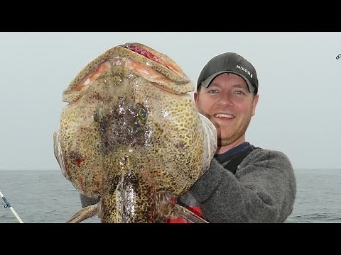 LINGCOD FISHING - The PROOF our tips work! - Catch Giant Cod
