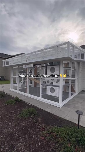 Catio Ratings: Residents Give a 10/10 Review