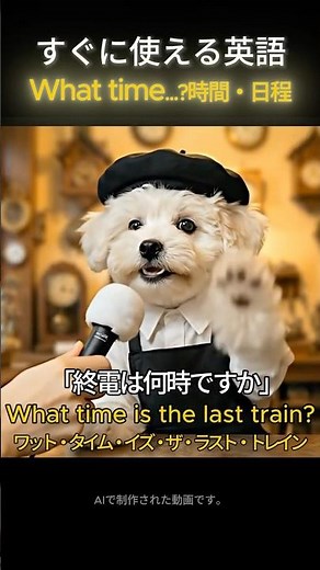 時間を聞く基本！「What time...?」の5パターン ⏰【超初心者】 #シロと英会話 #AI犬 #aidog #時間英語 #英会話初心者 #予定を確認する英語 #聞き流し