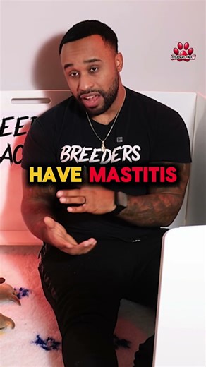 Prevention is Better than Cure