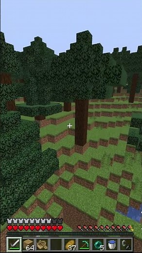 POV: Your Mouse Disconnects