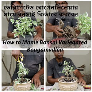 40K views · 1.8K reactions | In this captivating video, we'll walk...